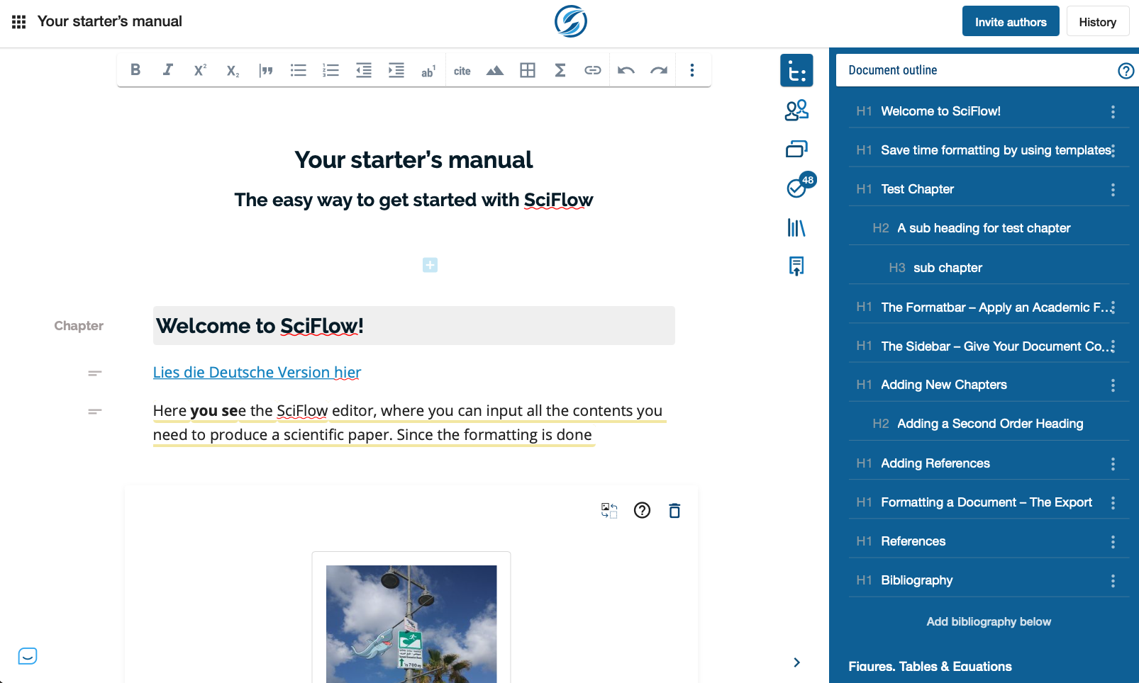 SciFlow Texteditor